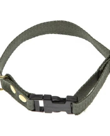 Grønt Halsbånd   Halsrem 25 Mm X 60 Cm I Webbing