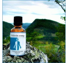 Holistica Medica Holesin Comp   Bull  50ml