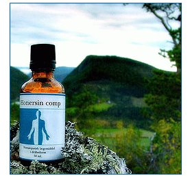 Holistica Medica Honersin Comp   Bull  50ml