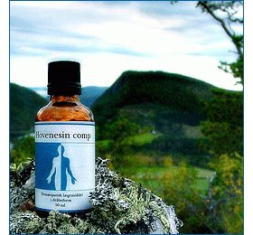 Holistica Medica Hovenesin Comp   Bull  50ml