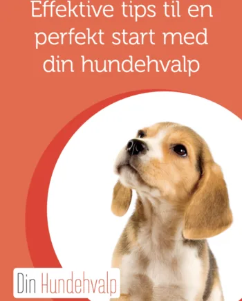 Hvalpebog   Effektive Tips Til En Perfekt Start Med Din Hundehvalp