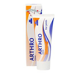 Medic Wiotech Ice Power Arthro 60g
