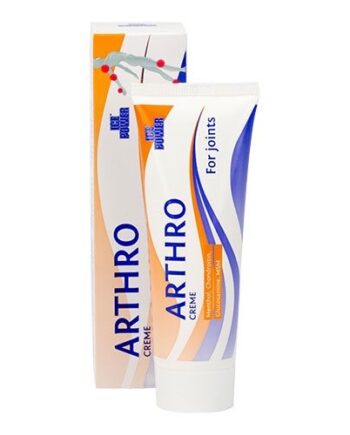 Ice Power Arthro   60 Gram
