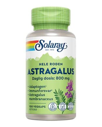 Astragalus   100 Kapsler
