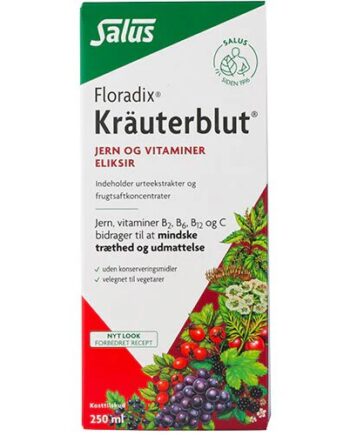 Floradix Kr? Uterblut   250 Ml