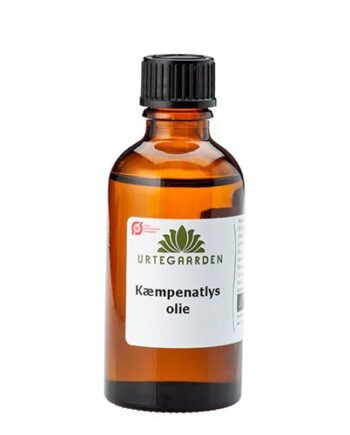 Kæmpenatlysolie ø