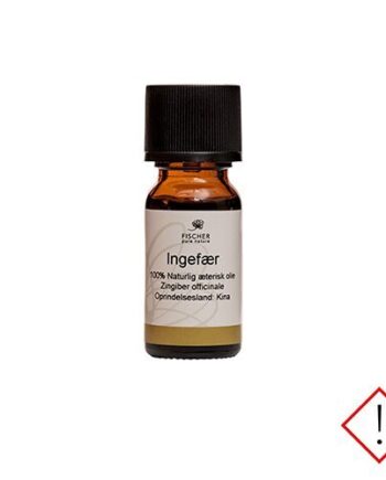Ingefærolie æterisk   10 Ml
