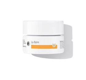 Dr  Hauschka Læbesalve  Bull  4 5ml  25