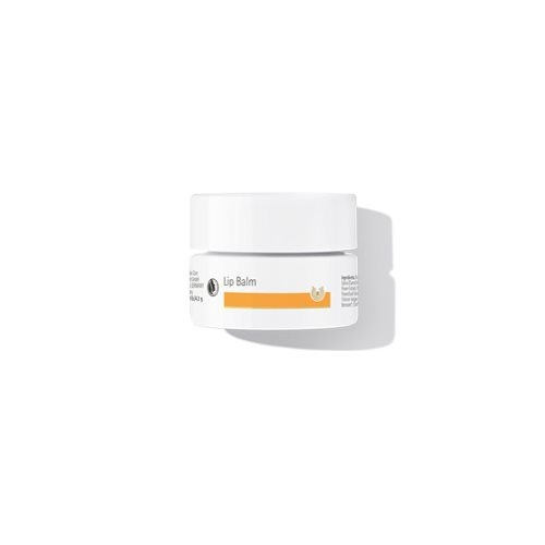 Dr  Hauschka Læbesalve  4 5 Ml