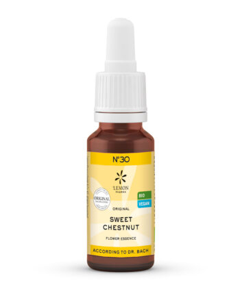 Bachblomster ægte Kastanie  Sweet Chestnut   Bull  20ml