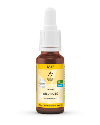 Bachblomster Hunderose  Wild Rose   Bull  20ml