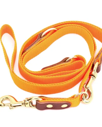 Orange Hundesnor Med Karabinhage   Dressurline 25 Mm X 250 Cm I Webbing