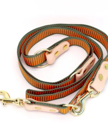 2 Farvet Hundesnor Med Karabinhage   Dressurline 25 Mm X 250 Cm Webbing