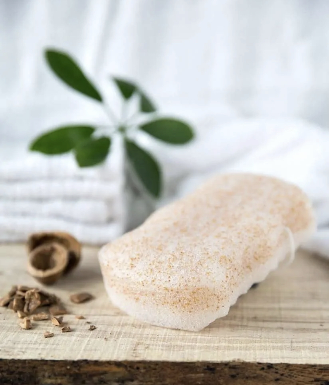 Organic Konjac Valnød Body Svamp