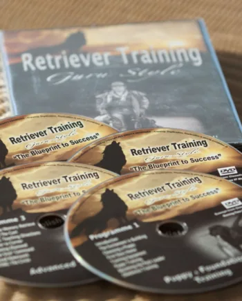 Retriever Træning Med Ketih Mathews  4 Stk Dvd