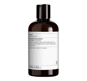 Evolve Shampoo Superfood Shine   250 Ml