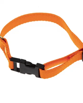 Orange Halsbånd   Halsrem 25 Mm X 60 Cm I Webbing