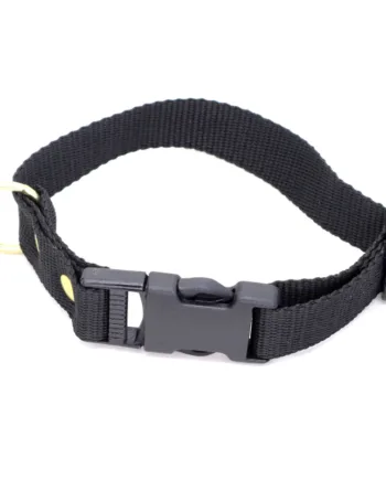 Sort Halsbånd   Halsrem I Webbing  25 Mm X 40 Cm