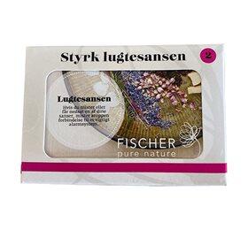 Styrk Lugtesansen Kit 1  4 X10 Ml æteriske Olier Eucaluptus ø  Origanum  Ingefær  Cedertræ