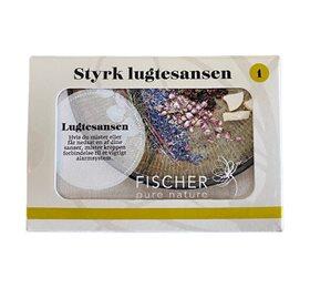 Styrk Lugtesansen Kit 2  4 X10 Ml æteriske Olier Appelsin ø  Pebermynte  Lavendel  Sandeltræ