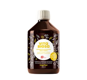 Vita Biosa Ingefær ø  Bull  500ml