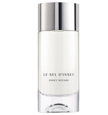 Issey Miyake Le Sel D 39 Issey Eau De Toilette Pour Homme 100 Ml