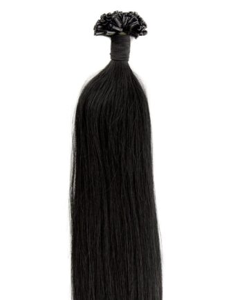 Hot Fusion Extensions   Sort  1