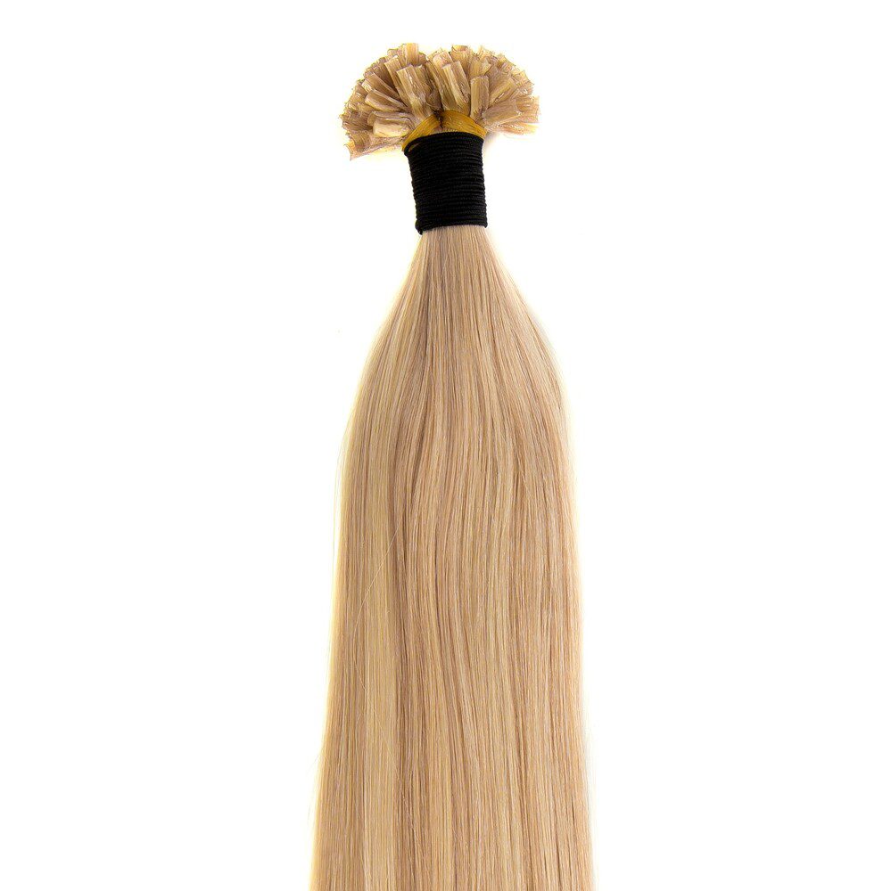 Hot Fusion Extensions   10 22