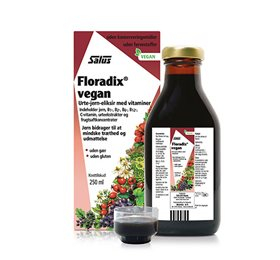 Floradix Vegan 250 Ml