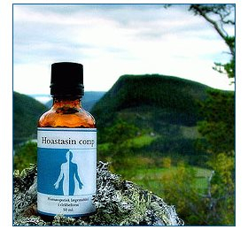 Holistica Medica Hoastasin Comp   Bull  50ml