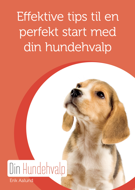 Hvalpebog   Effektive Tips Til En Perfekt Start Med Din Hundehvalp