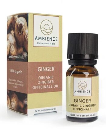 Ambience Ingefær Olie  øko   10 Ml