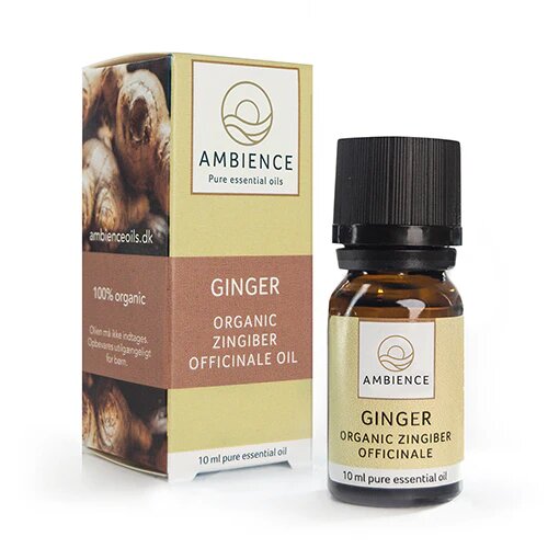 Ambience Ingefær Olie øko 10 Ml
