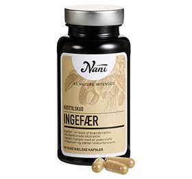 Nani Ingefær 90 Kap