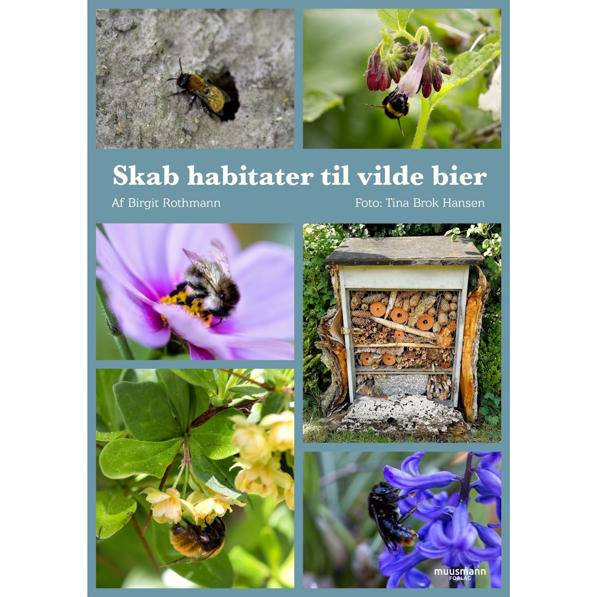 Skab Habitater Til Vilde Bier     Birgit Rothmann  Hardback 177 S