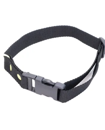 Sort Halsbånd   Halsrem I Webbing  25 Mm X 60 Cm