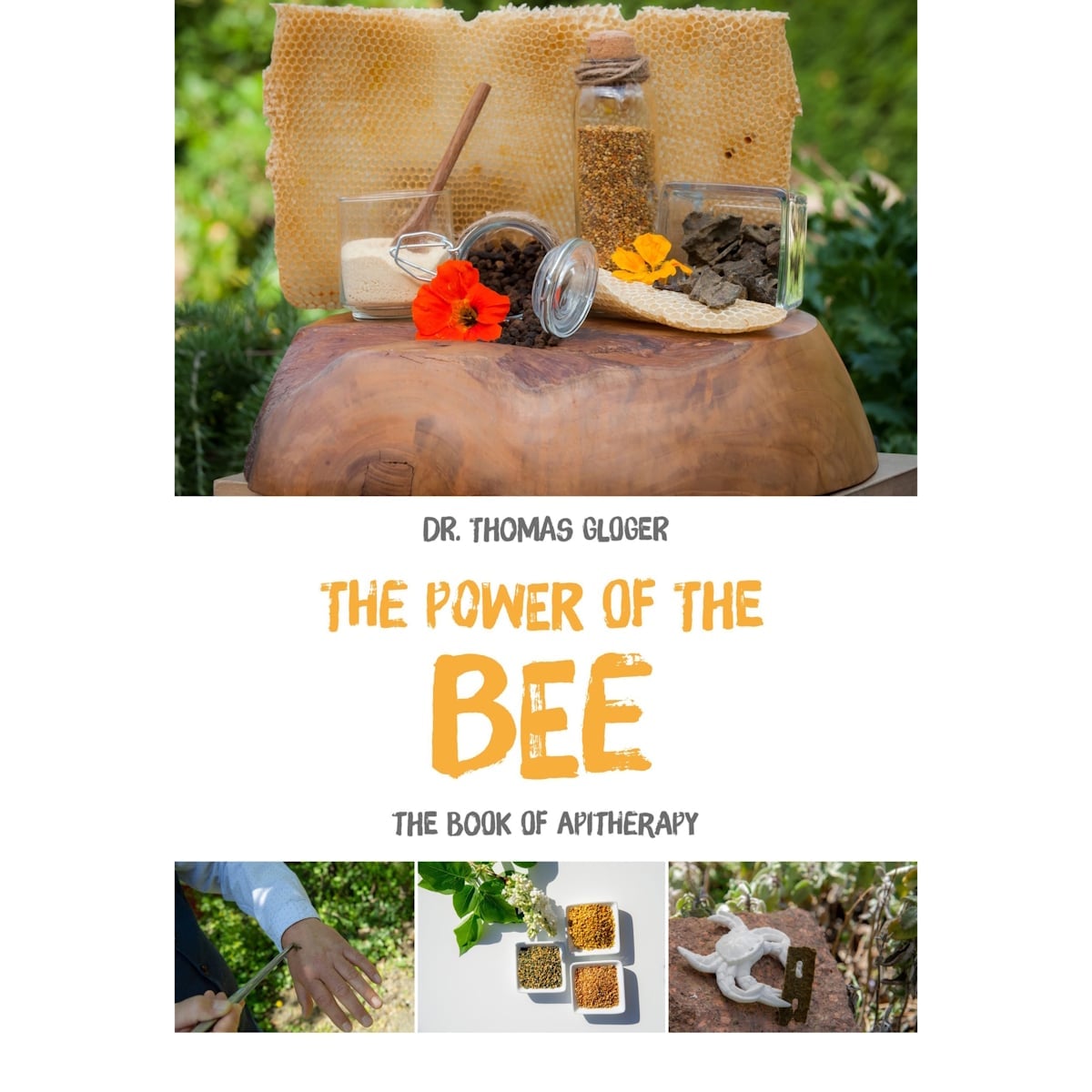 Dr  Thomas Gloger: The Power Of The Bee ?  Apiterapi Bog